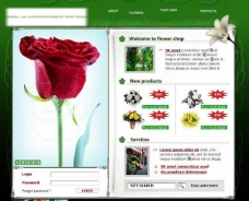 自然花茎网flash网站图片