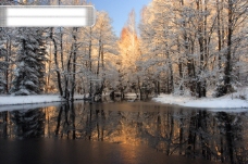 高清风景素材-森林融雪