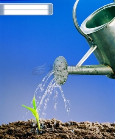 植物生命浇水植物的力量生命力