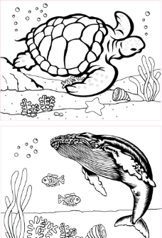 长寿鱼图片免费下载,长寿鱼设计素材大全,长寿鱼模板下载,长寿鱼图库
