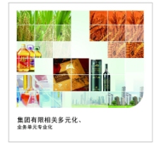 红房子集团企业文化油大米小麦稻谷房子红酒图片