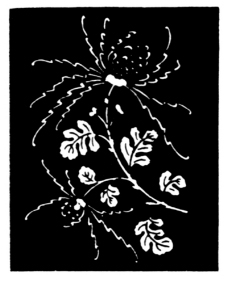植物图案花纹0285