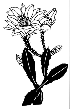 植物图案花纹0272
