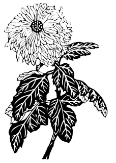 植物图案花纹0258