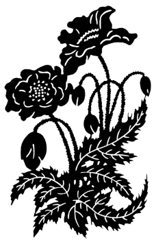 植物图案花纹0261