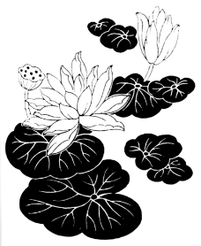 植物图案花纹0260