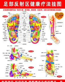 足部图足部健康疗法图图片