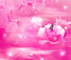 浪漫玫瑰背景图片