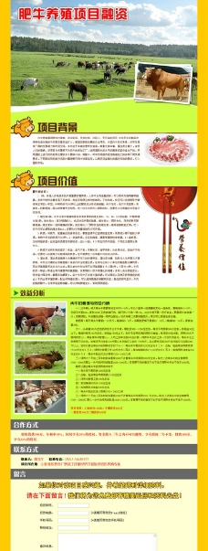 网页模板肥牛养殖图片