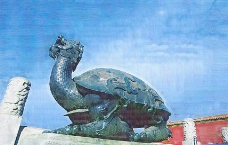 油画 抽象 乌龟图片
