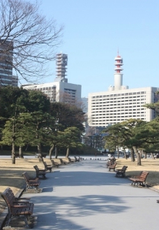 皇宫一角日本皇宫前公园一角图片