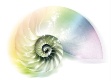 高清分层彩虹海螺