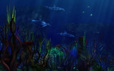 海豚世界蓝色梦幻海豚海底世界壁纸